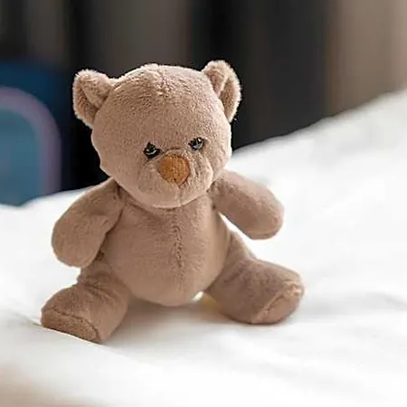 Plaza Rieker Hauptbahnhof 3*